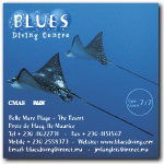Blues Diving advert 2005