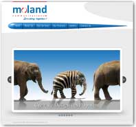 Web Design & Development: moland-com.com